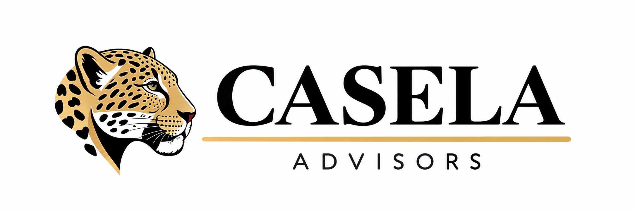 Casela Advisors - Chartered Accountants